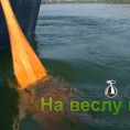 На веслу прича