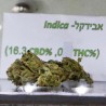 Израелци направили марихуану која „не ради“ 