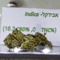 Израелци направили марихуану која „не ради“ 