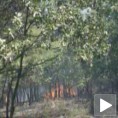 Пожар захватио заосталу касетну муницију