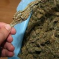 У мору 800 килограма марихуане