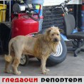 Гледаоци репортери (26. јул 2012)