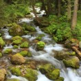 Природа важнија од уштеђевине