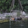Извађена бомба из Мораче