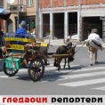 Гледаоци репортери (13. август 2012)