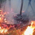 Пожар близу манастира Тврдош