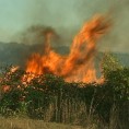 Пожари у Крушевачком крају