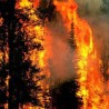 Пожари у БиХ и Црној Гори