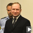 Брејвику 21 година затвора