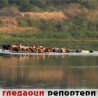 Гледаоци репортери (30. август 2012)