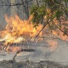 Локализован један, избио други пожар код Куршумлије