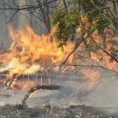 Локализован један, избио други пожар код Куршумлије