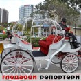 Гледаоци репортери (23. септембар 2012)