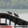 Гледаоци репортери (25. септембар 2012)