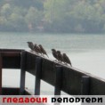 Гледаоци репортери (25. септембар 2012)
