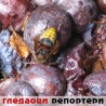 Гледаоци репортери (3. октобар 2012)