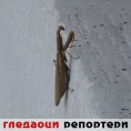 Гледаоци репортери (7. октобар 2012)