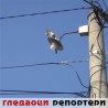 Гледаоци репортери (9. октобар 2012)