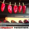 Гледаоци репортери (11. октобар 2012)