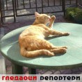 Гледаоци репортери (22. октобар 2012)