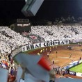 И црно-бели против расизма