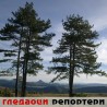 Гледаоци репортери (23. октобар 2012)