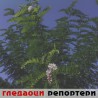 Гледаоци репортери (25. октобар 2012)