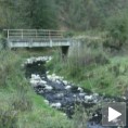 Отпадне воде затровале реку