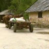 Задња кућа, Србија
