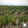 Смањена продаја вина због кризе