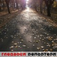 Гледаоци репортери (21. новембар 2012)