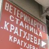 Завист или проневера 