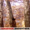 Гледаоци репортери (30. новембар 2012)