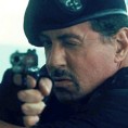 Сталоне прекинуо хибернацију слепих мишева!