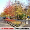 Гледаоци репортери (2. децембар 2012)