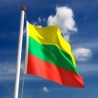 Искуство Литваније