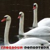 Гледаоци репортери (16. децембар 2012)