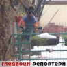 Гледаоци репортери (17. децембар 2012)