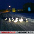 Гледаоци репортери (19. децембар 2012)