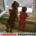 Гледаоци репортери (29. децембар 2012)