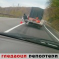 Гледаоци репортери (10. јануар 2013)
