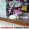 Гледаоци репортери (12. јануар 2013)
