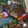 Милијарда гладних, а храна у смећу