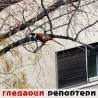 Гледаоци репортери (21. јануар 2013)
