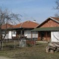 Инцидент у Осојану, ухапшен осумњичени