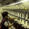 "Фулгар" гради нови погон у Зрењанину