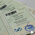 Хиљаде грађана без здравствених књижица