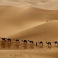 Караван