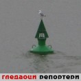 Гледаоци репортери (11. фебруар 2013)