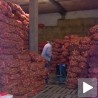 Златар, од кромпира до кртоле